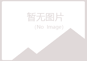 青海夏日邮政有限公司